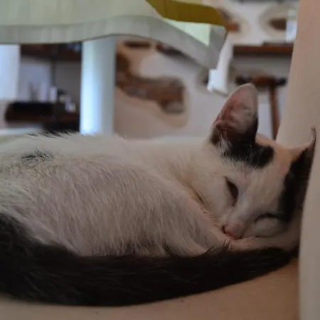 Heremo Delle Ripe Casa di campagna Trinità