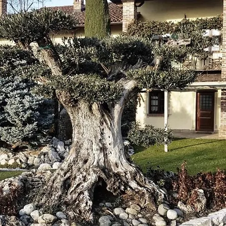 Casa di campagna Heremo Delle Ripe *