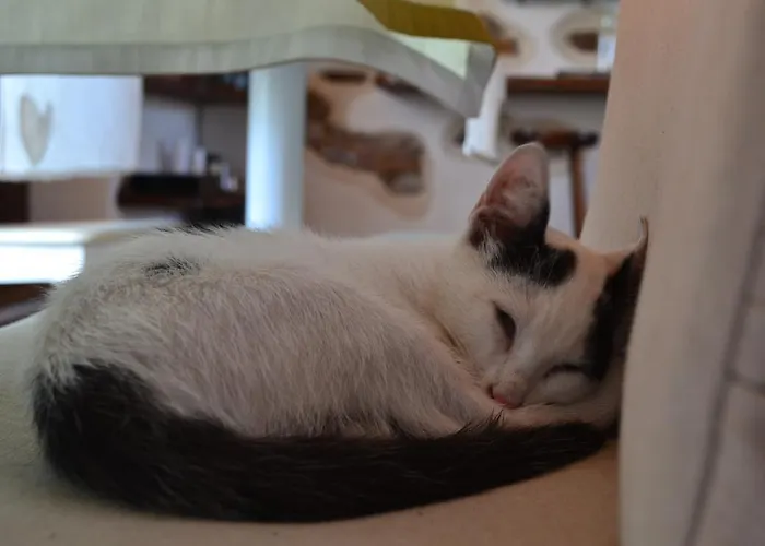 Heremo Delle Ripe 컨트리하우스 트리니타